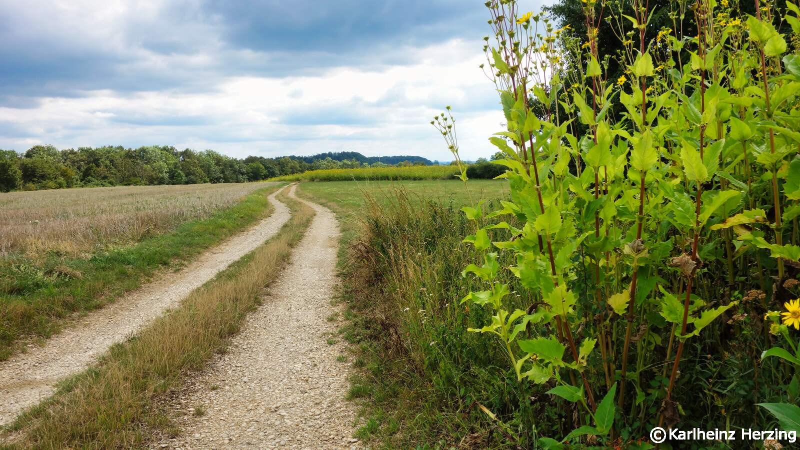 oestlicher albrandweg tag zwei