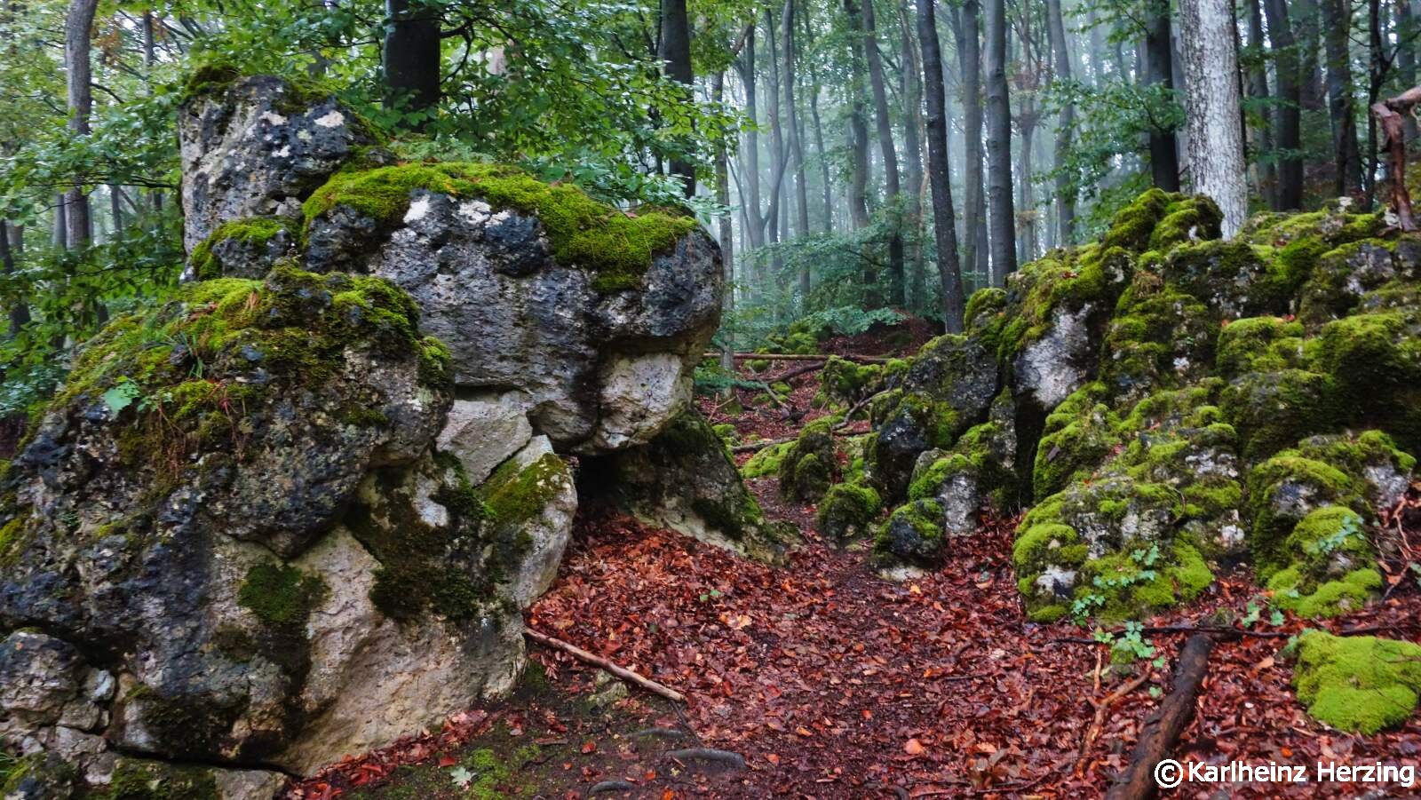 Morschreuth Egloffstein Fels