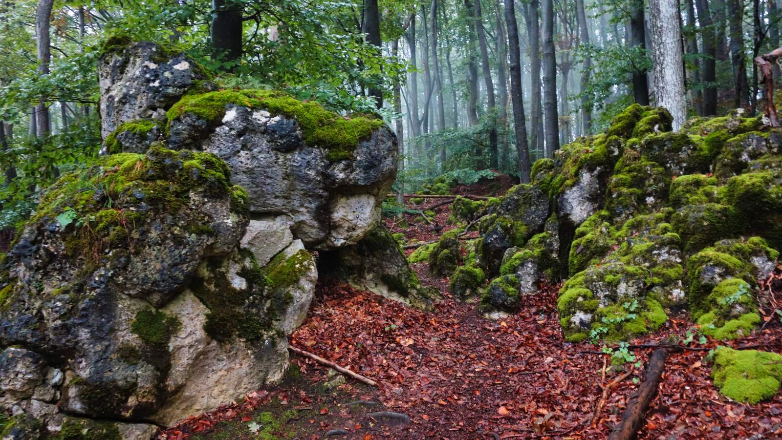 Morschreuth Egloffstein Fels