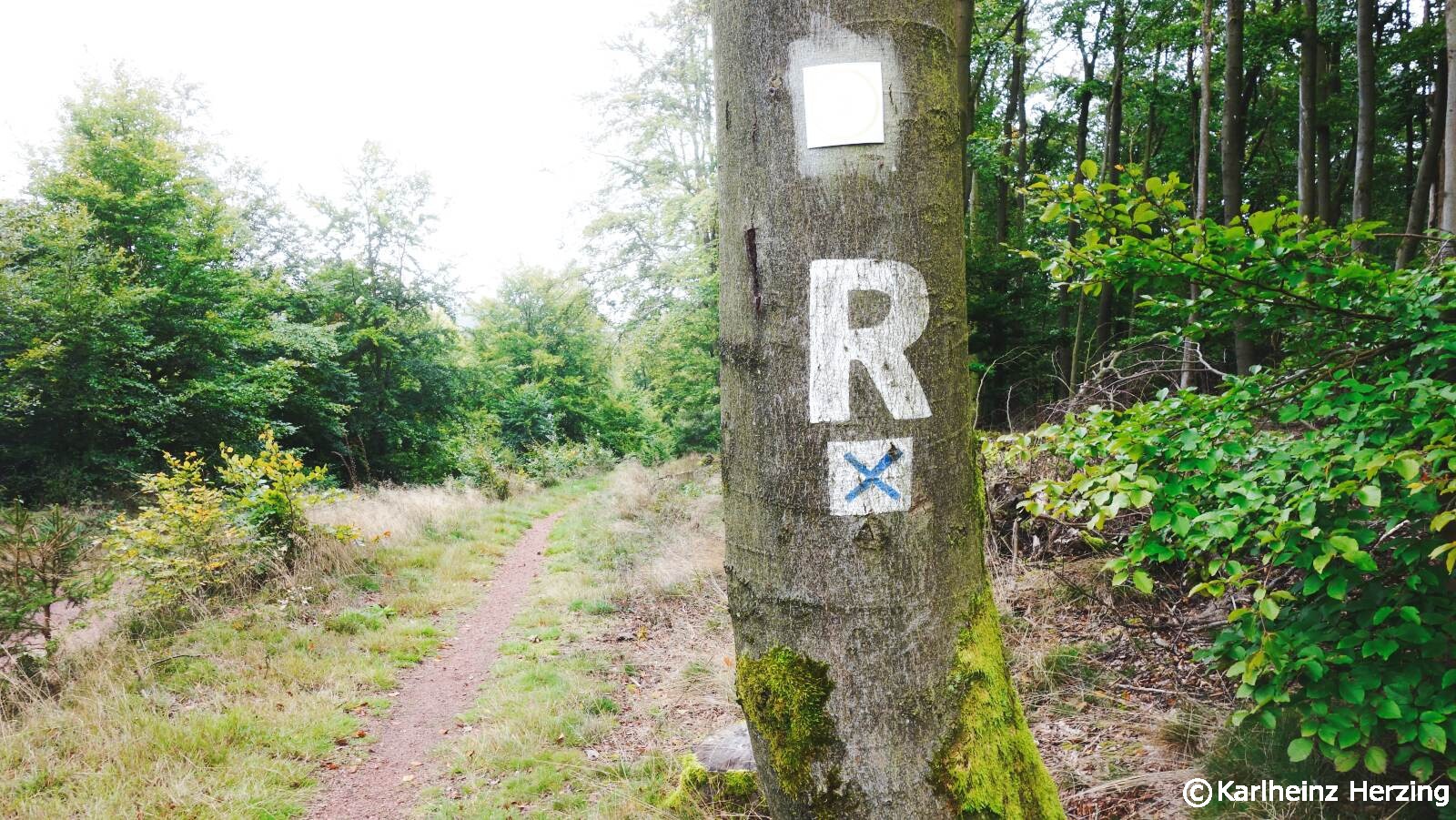 rennsteig markierung