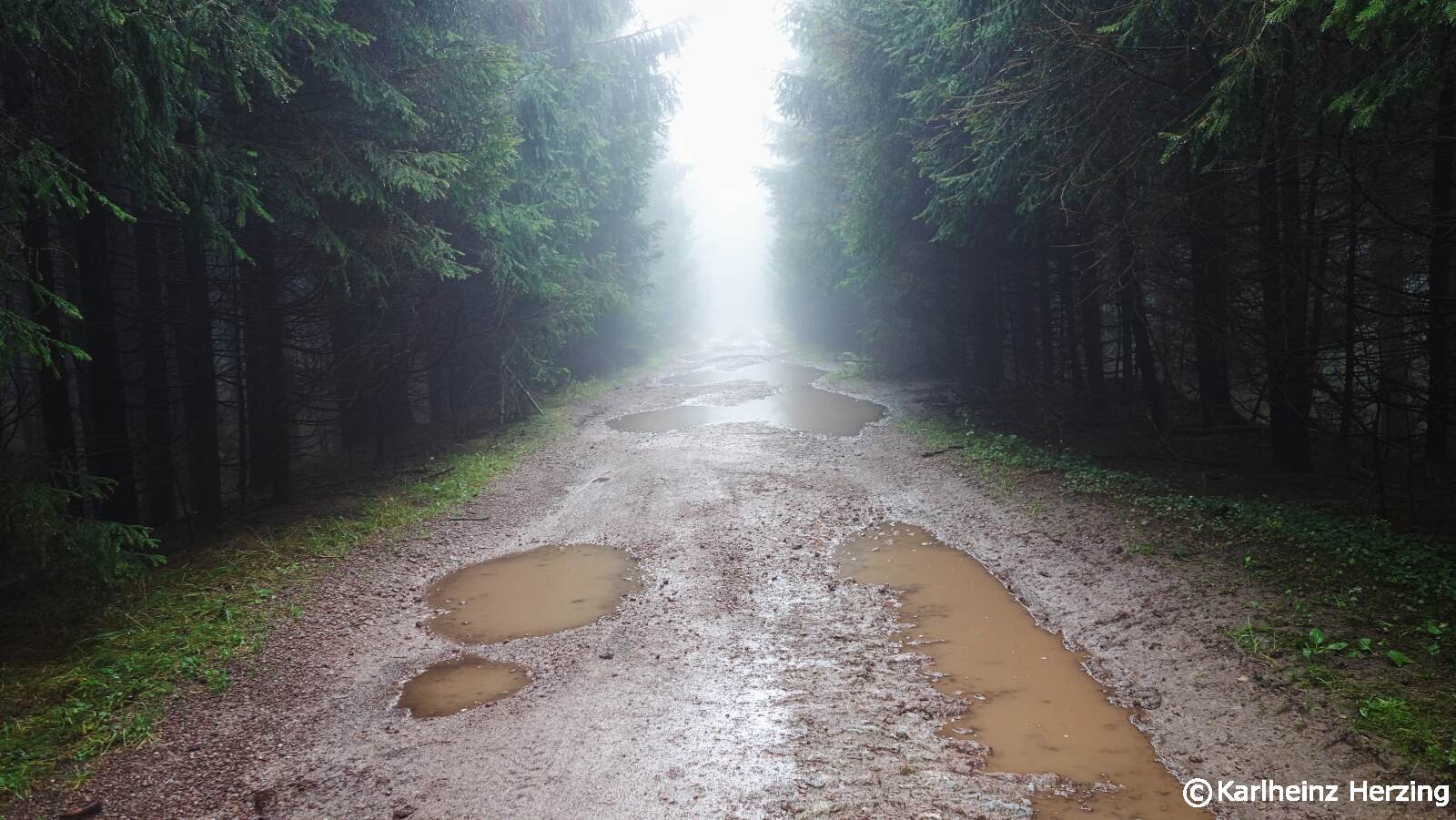 rennsteig nasser weg