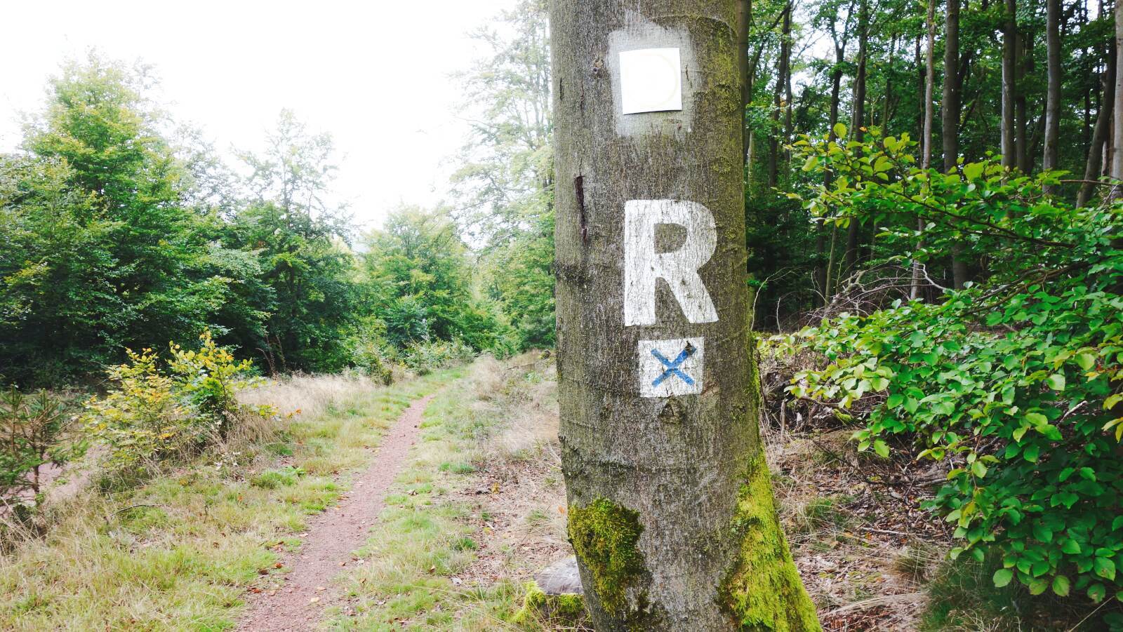 rennsteig new