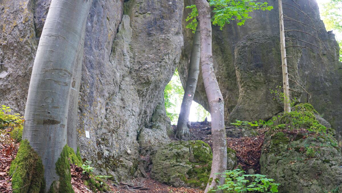 Der Rothenstein bei Burggrub