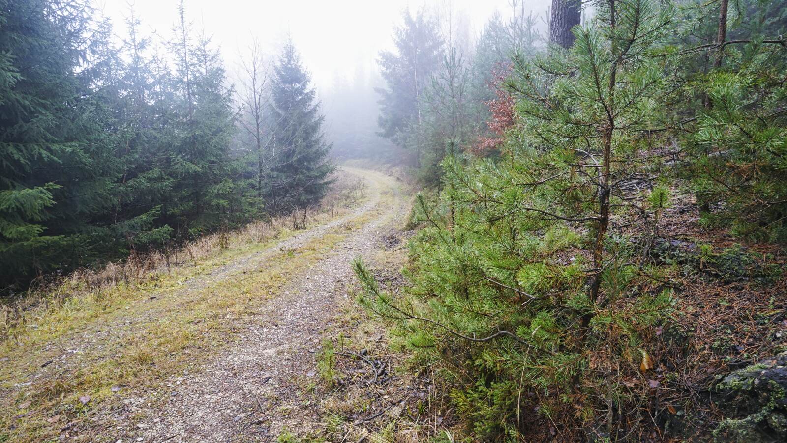 Glashuetten Fuchsbauweg 01