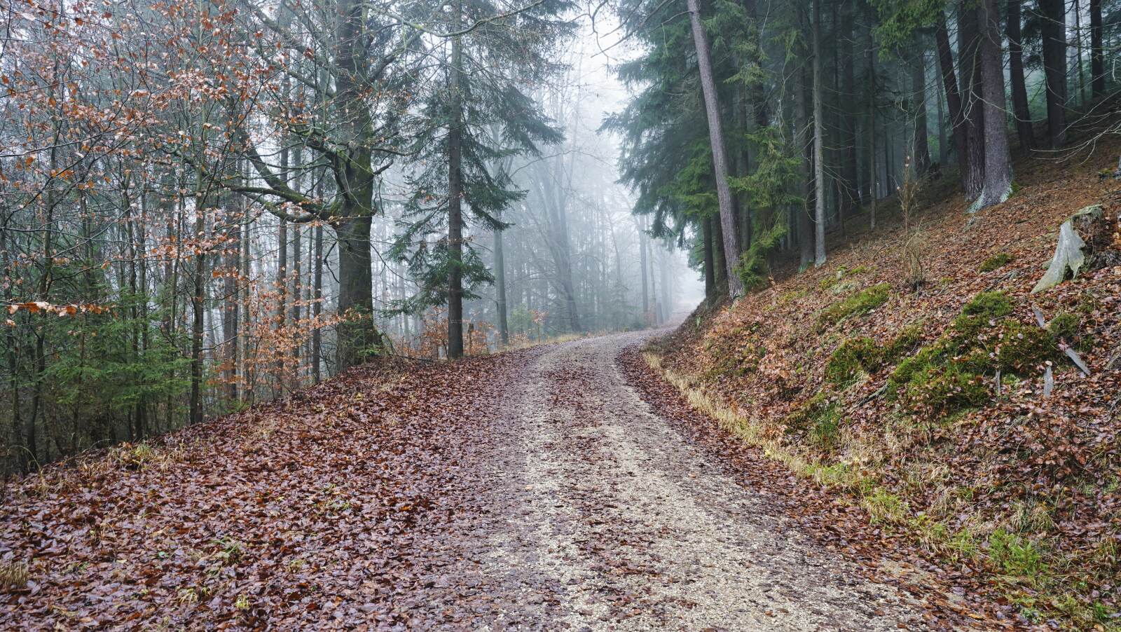 Glashuetten Fuchsbauweg 02