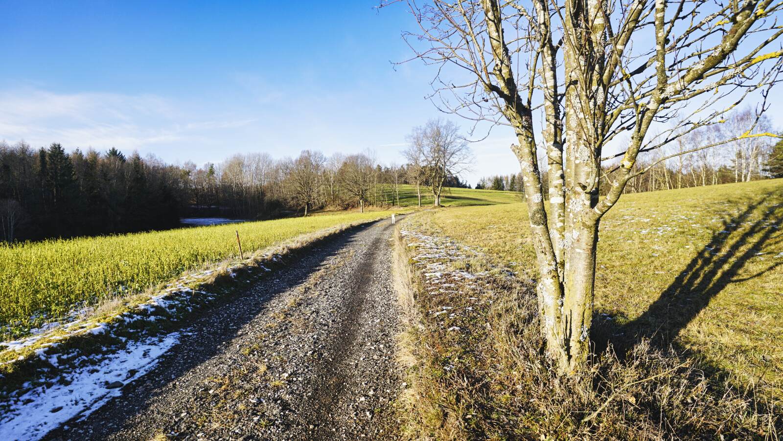 Glashuetten Hoehenweg