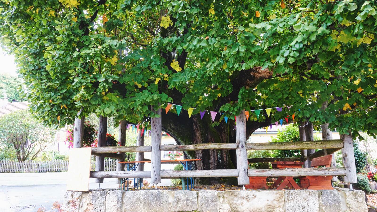 Morschreuth Egloffstein wichsenstein Tanzlinde