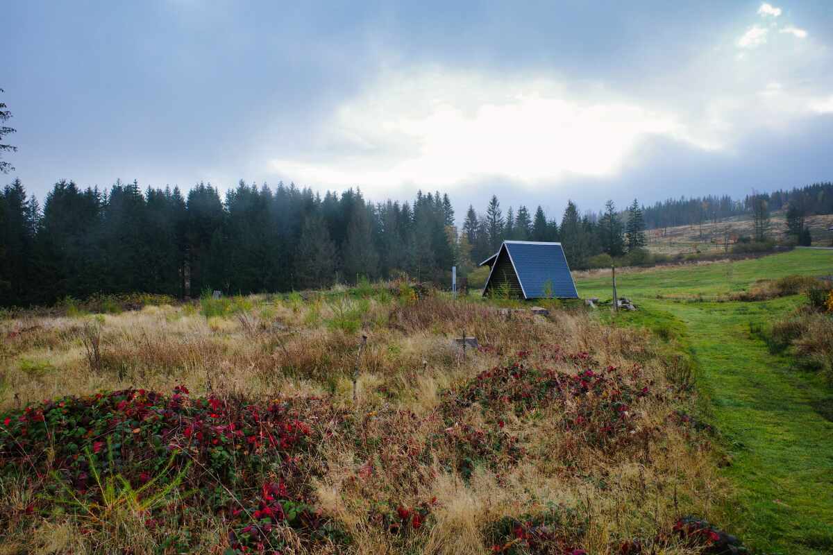 rennsteig weg vier new