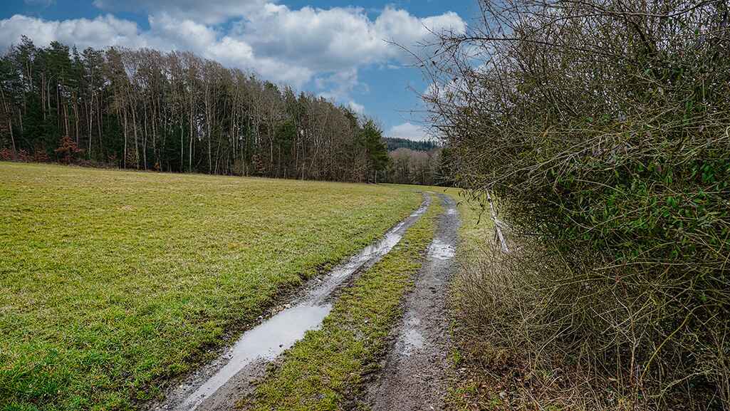 salzlecke 1 new