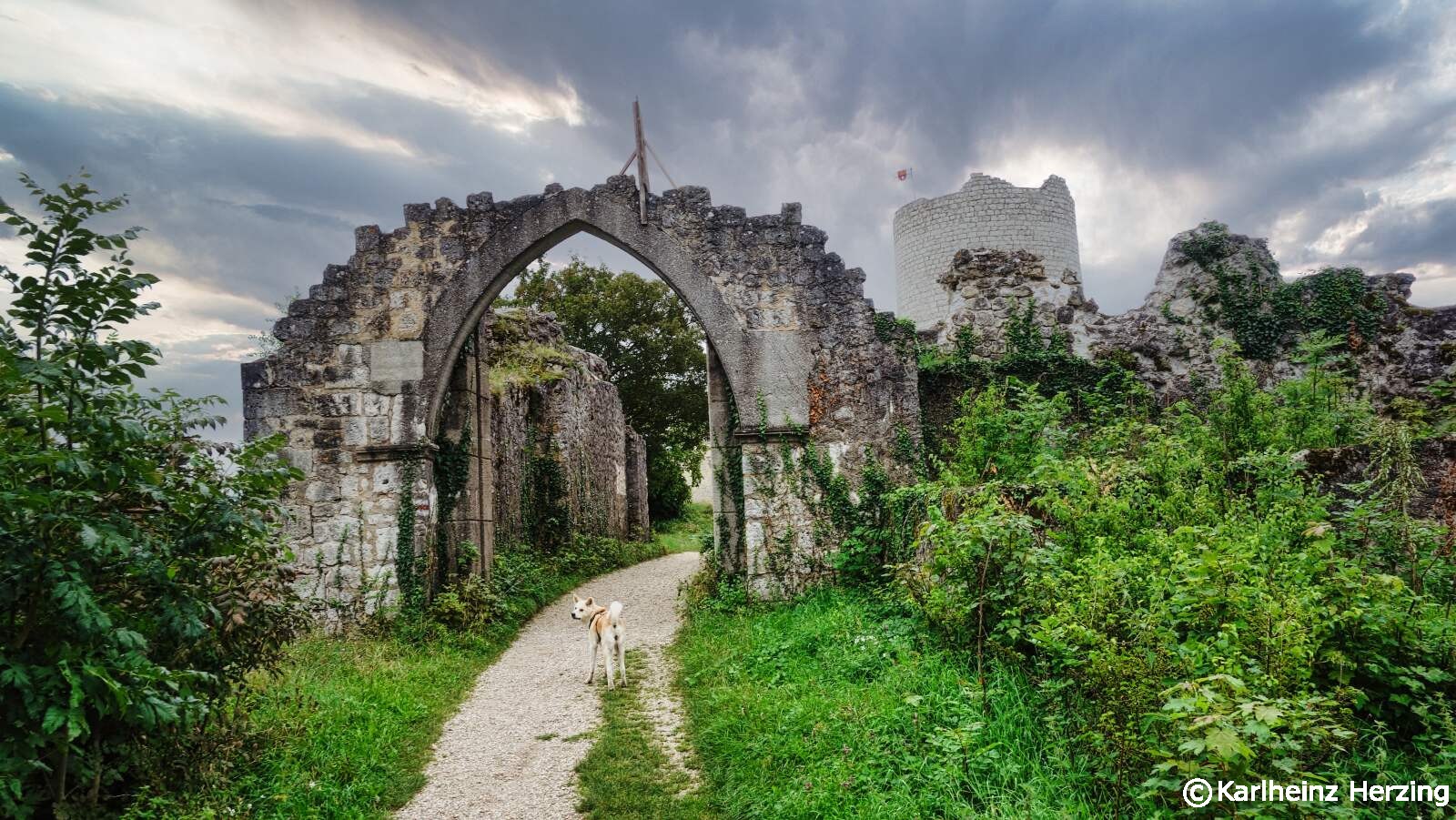 Burg Kallmünz