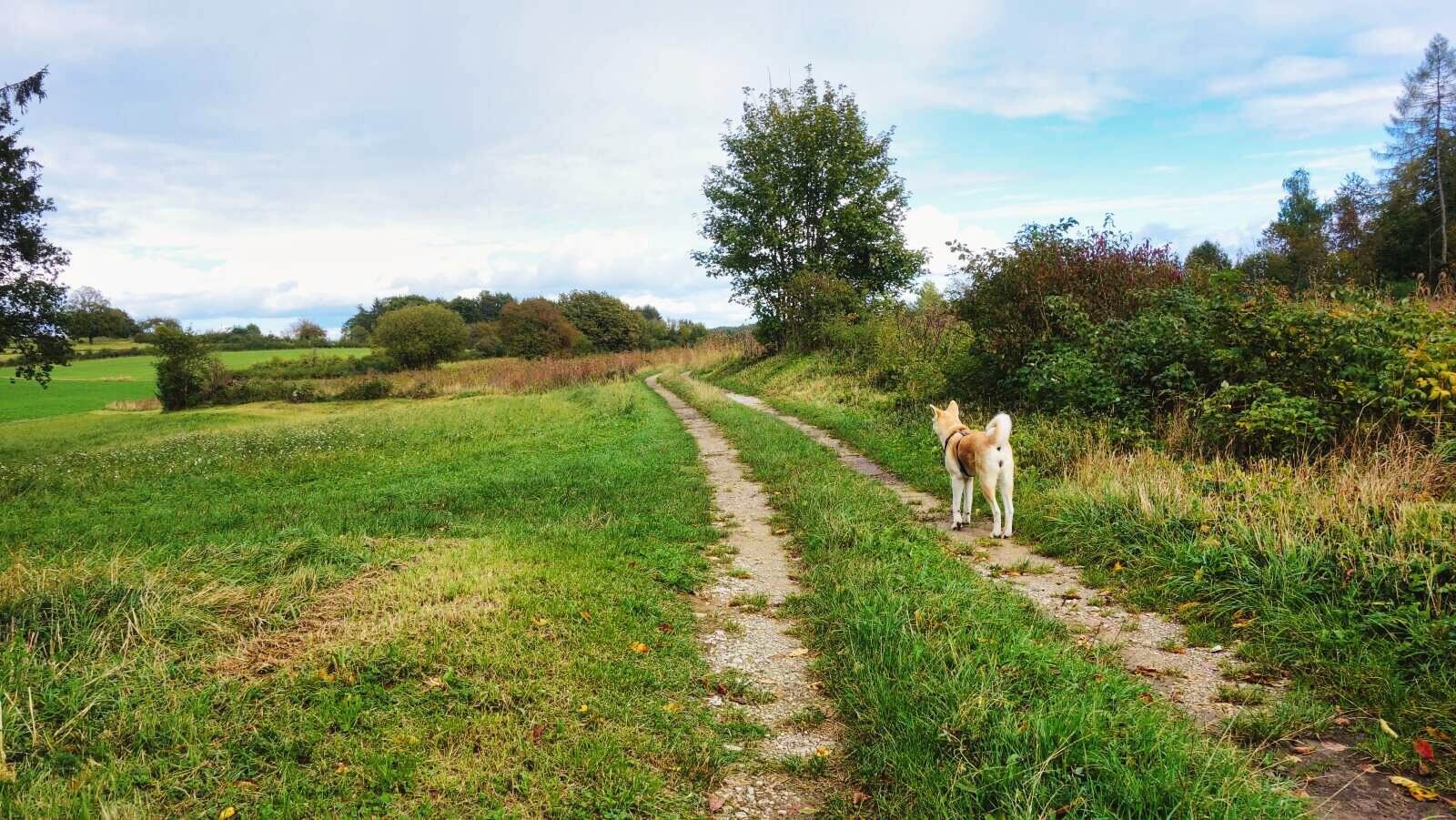 goessweinstein egloffstein wiesenweg