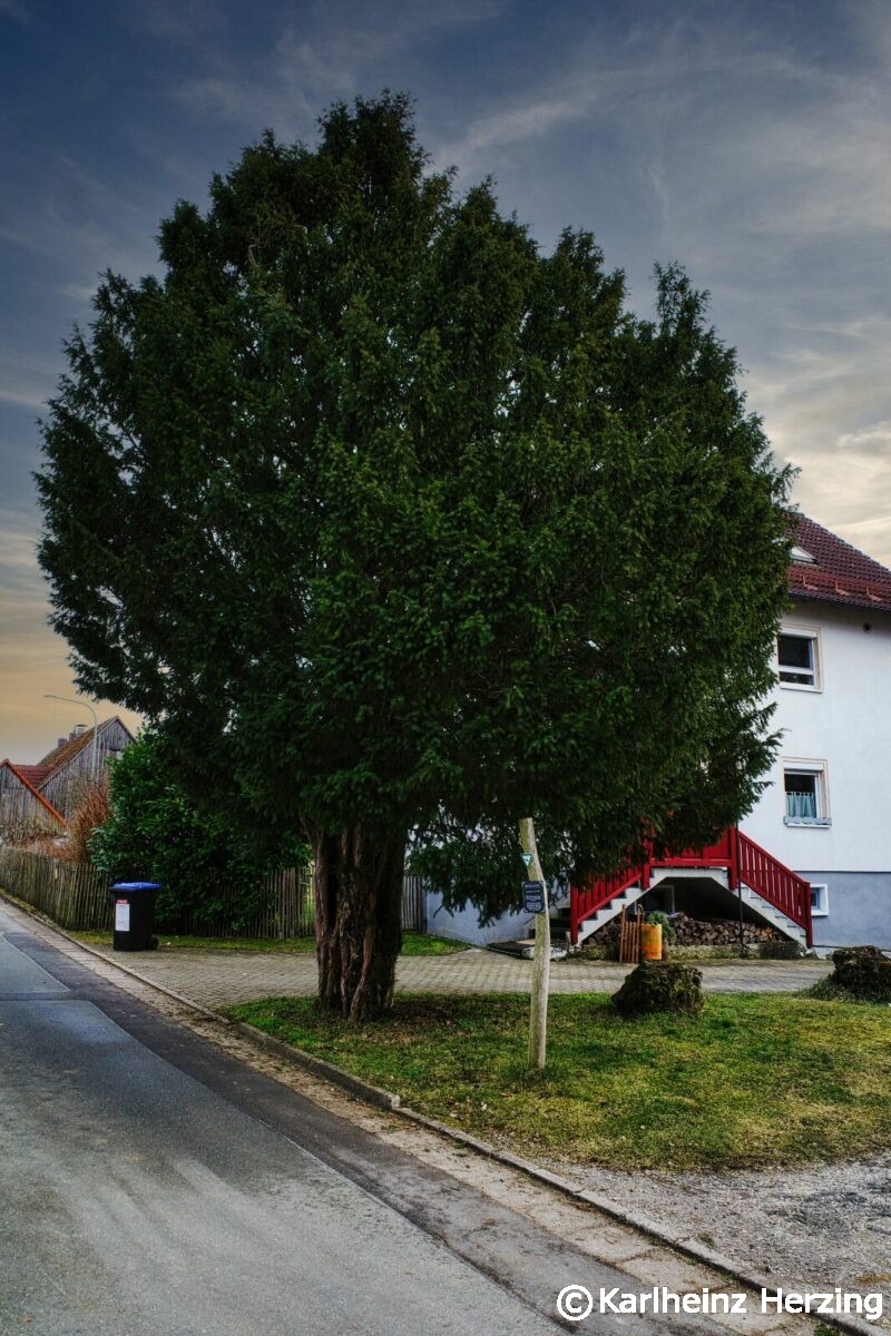 Behringersmuehle Tuechersfeld Pottenstein eibe