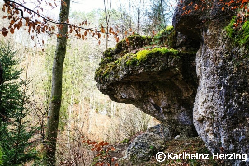 Behringersmuehle Tuechersfeld Pottenstein fels