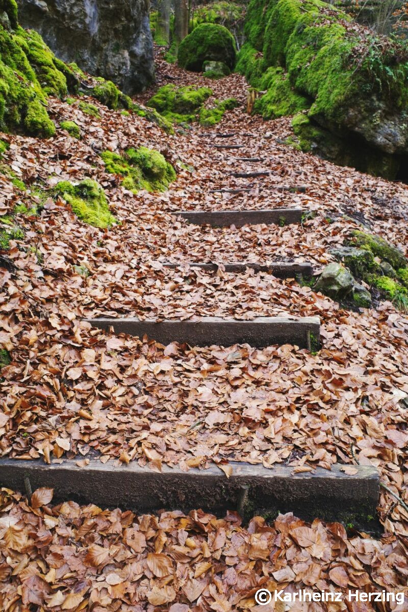 behringersmuehle pottenstein stufe