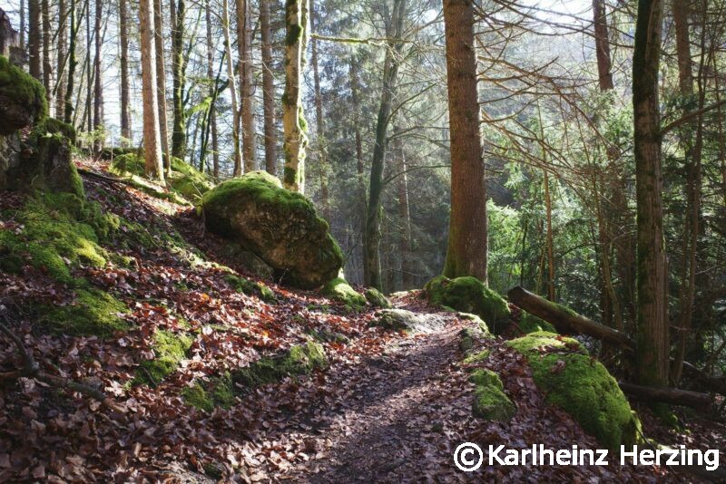 Pfad im oberen Puettlachtal Weg Schatten