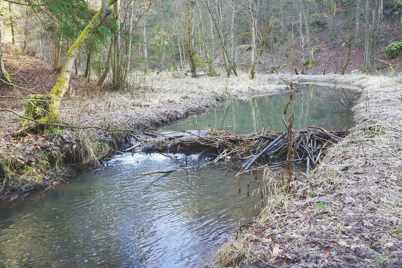 Pottenstein 11km damm new