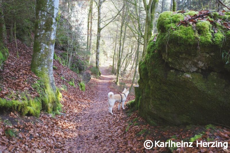 Pottenstein 11km weg