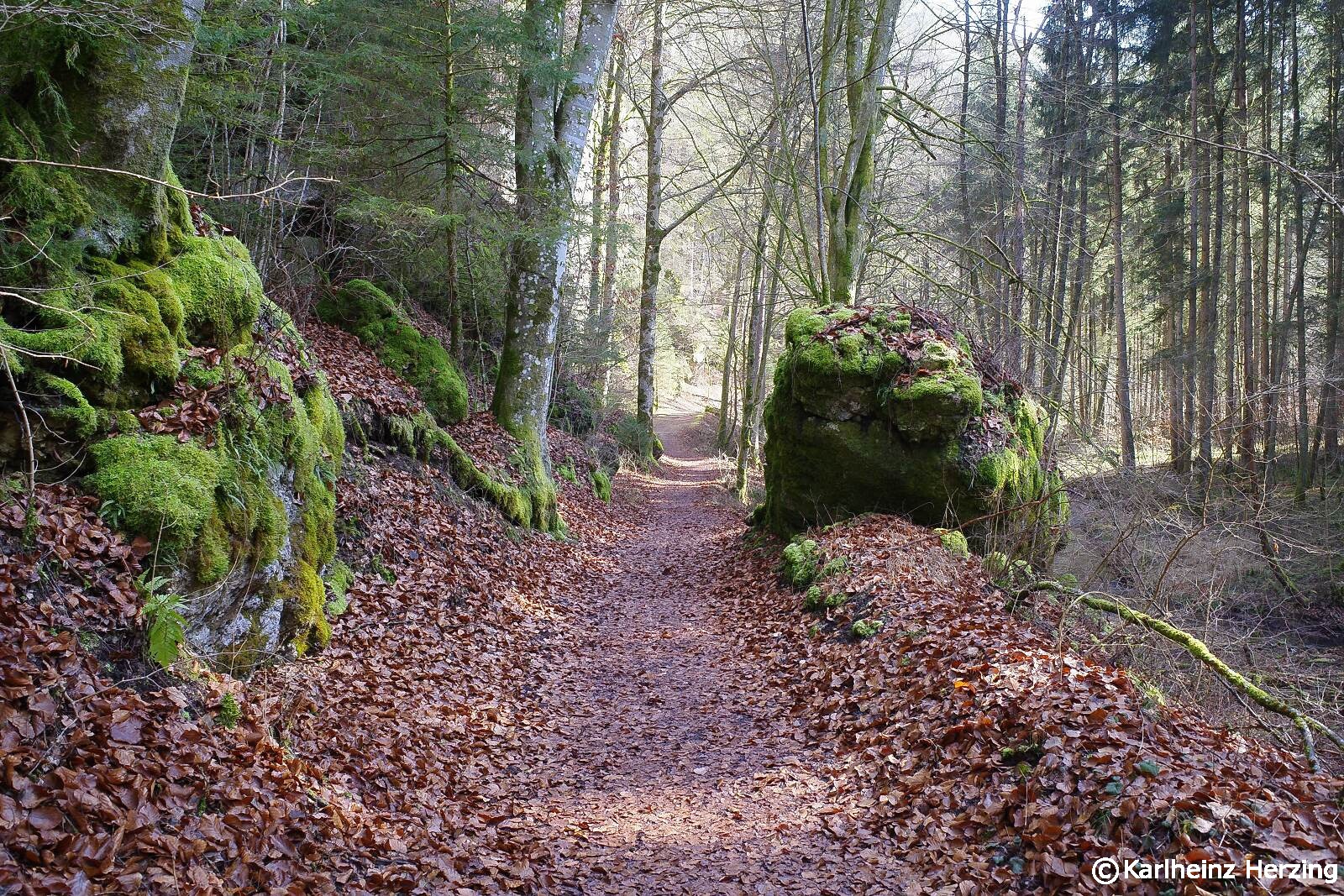 Auf dem Weg zum Windloch bei Elbersberg
