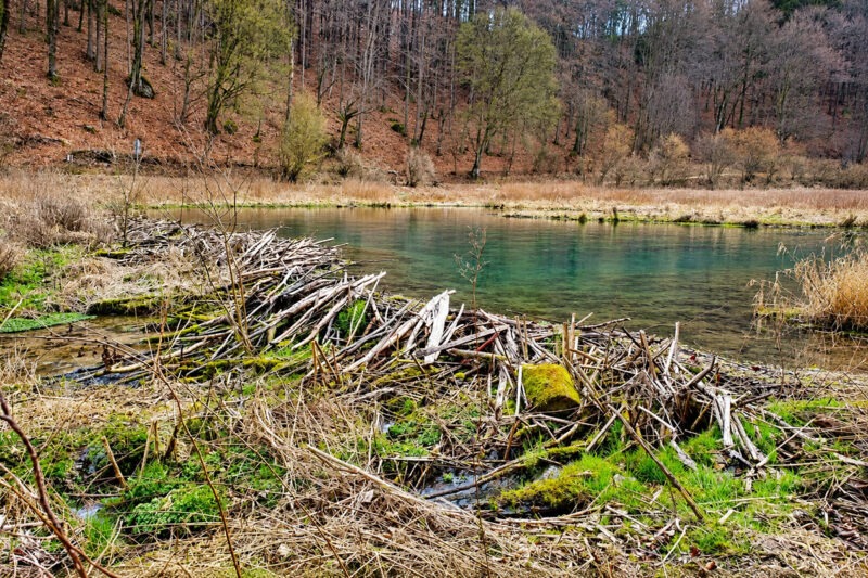 egloffstein-thuisbrunn-biberteich-new