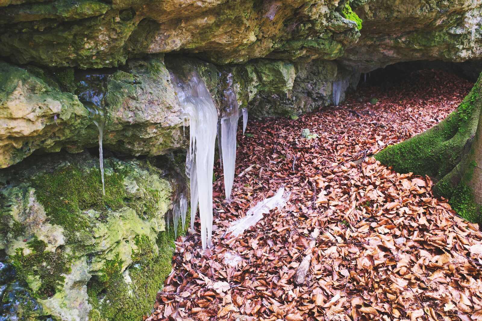goessweinstein egloffstein 24 eis
