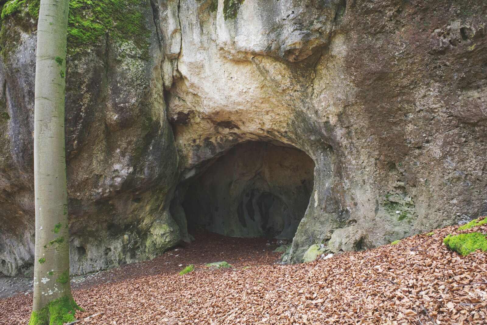 goessweinstein egloffstein fels