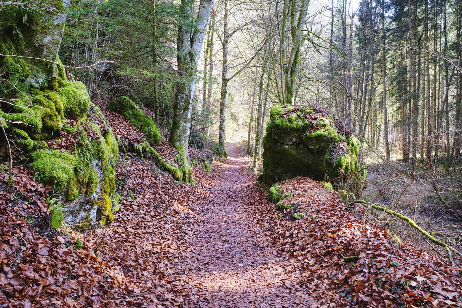 pottenstein puettlachtal weg