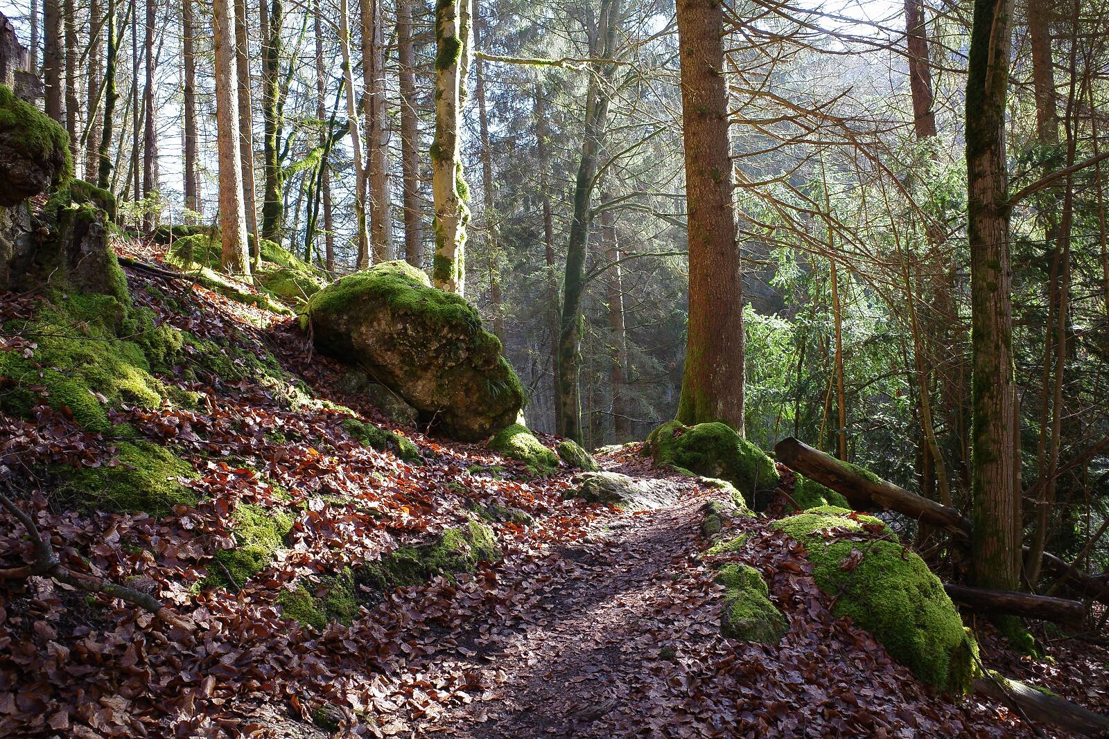 pottenstein windloch weg weg