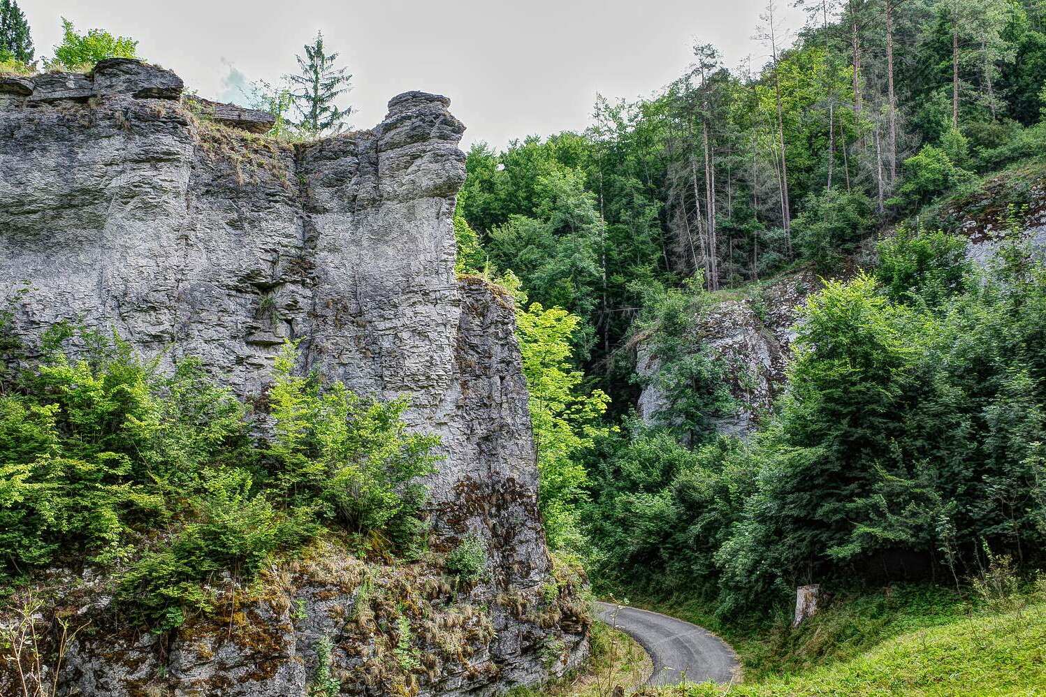 Leidingshofer Tal Fels new
