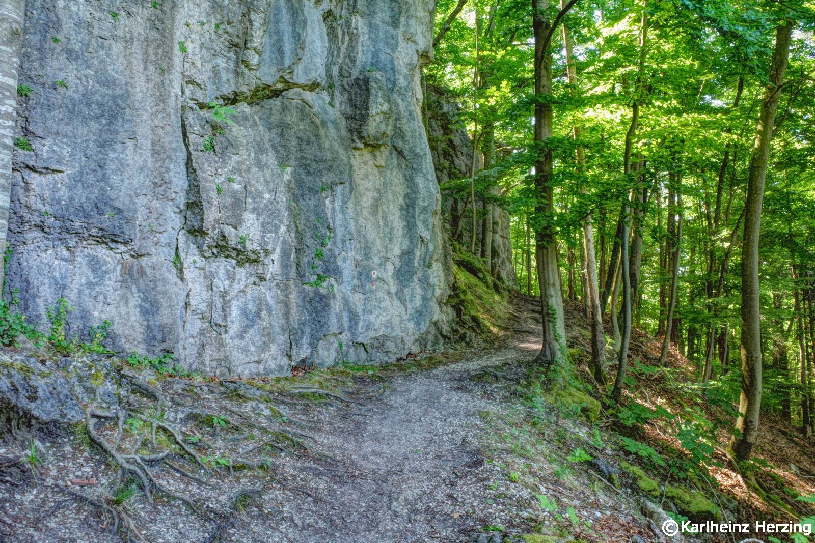 Weg bei Schloss Greifenstein