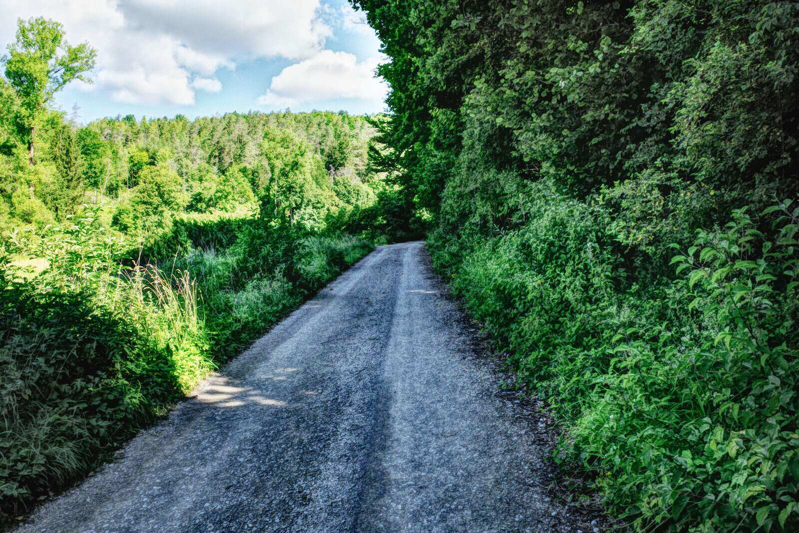 Veilbronn Schuhlmuehlenbachtal new