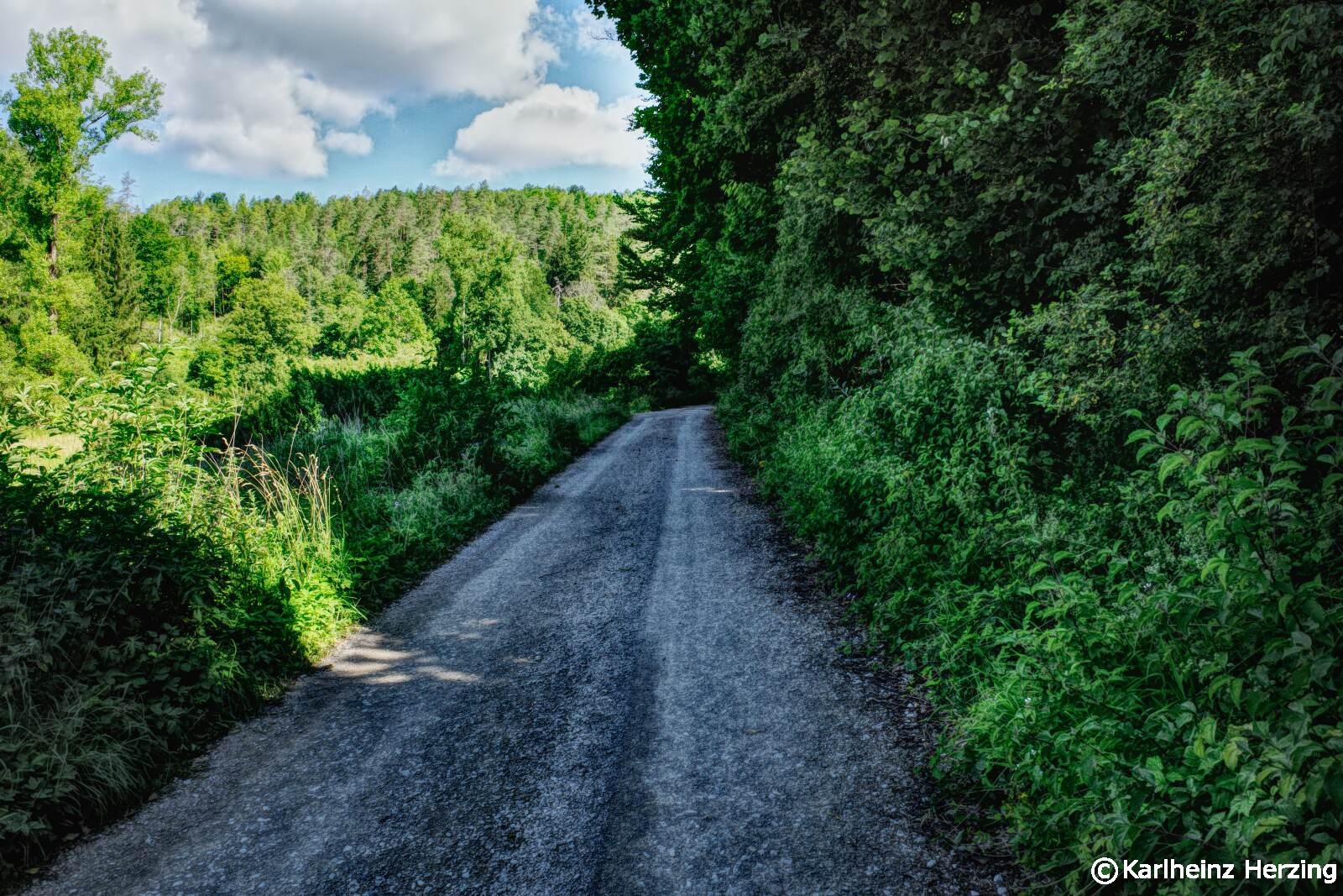 Im Schuhlmühlebachtal