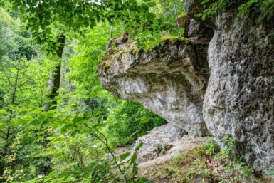 behringersmuehle fels home home