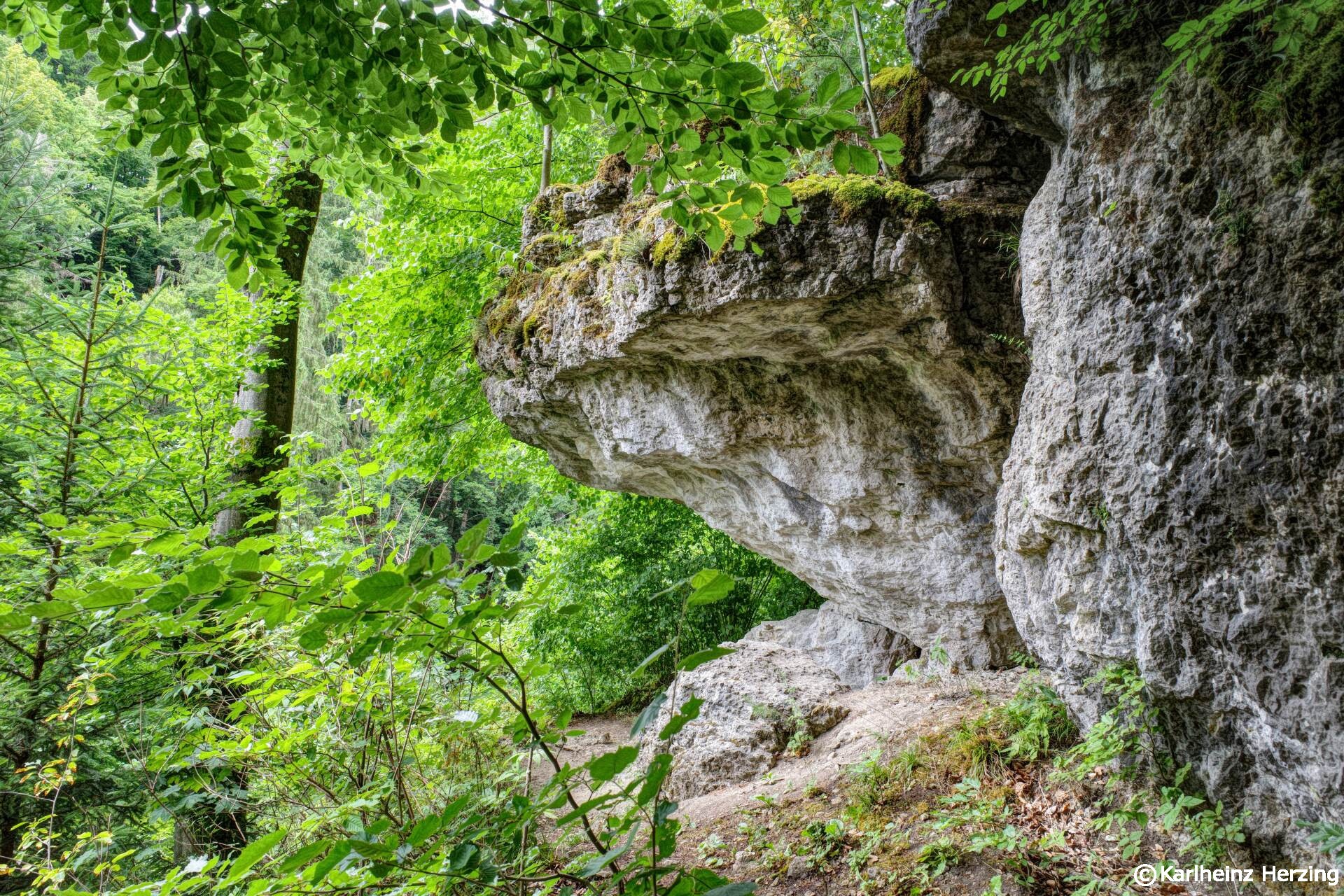 behringersmuehle fels home home