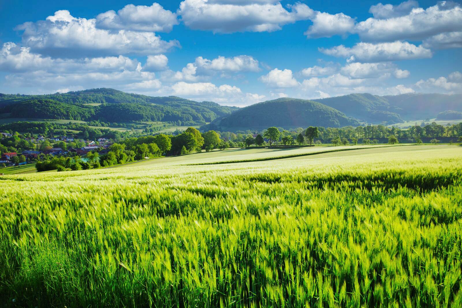 hochrhoener landschaft new