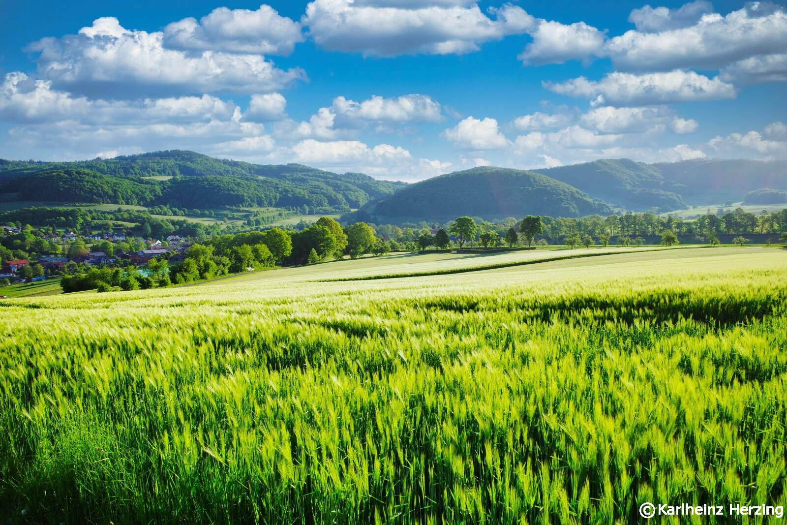 hochrhoener landschaft