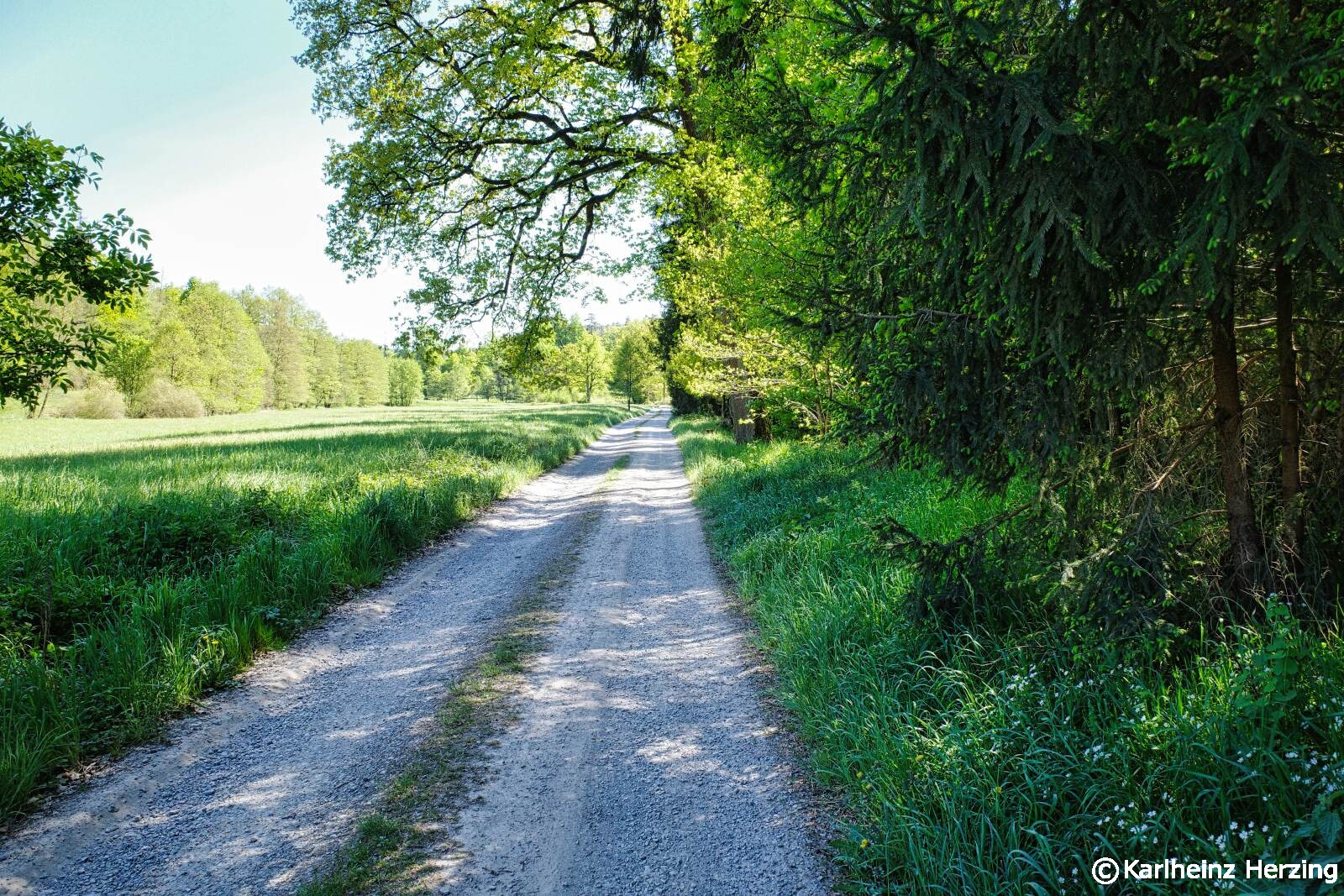Hochrhoener tag1 weg