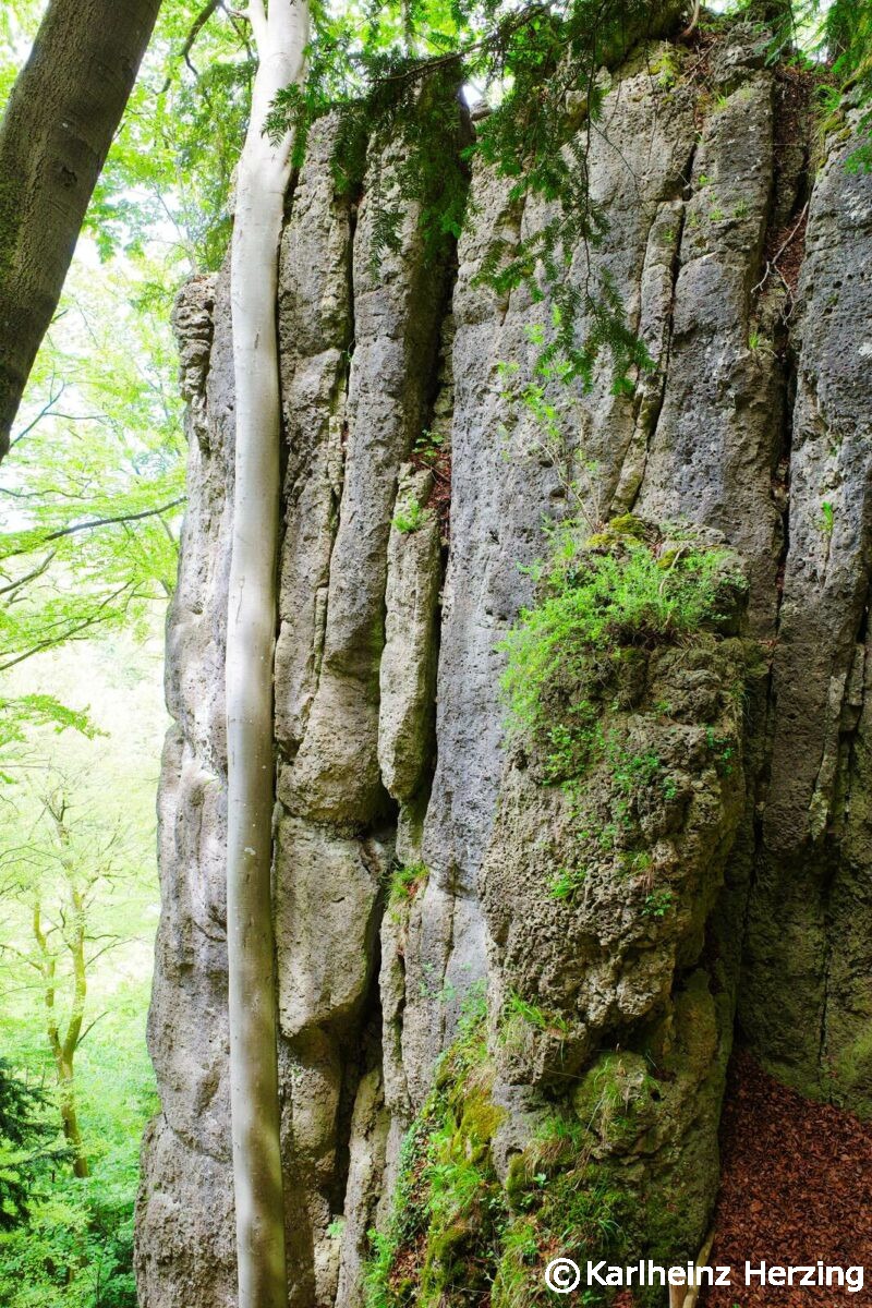 Kleinlesau Tuechersfeld Goessweinstein felsen