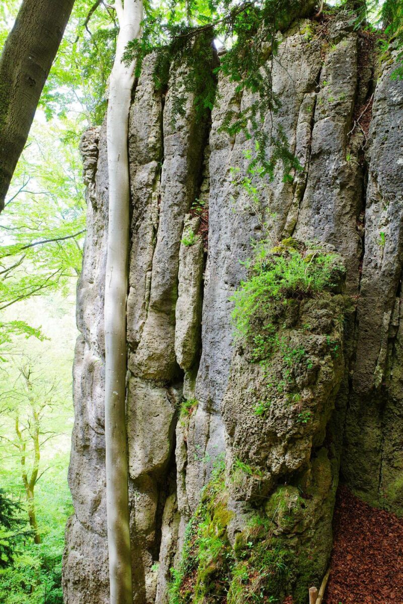 Kleinlesau Tuechersfeld Goessweinstein felsen new