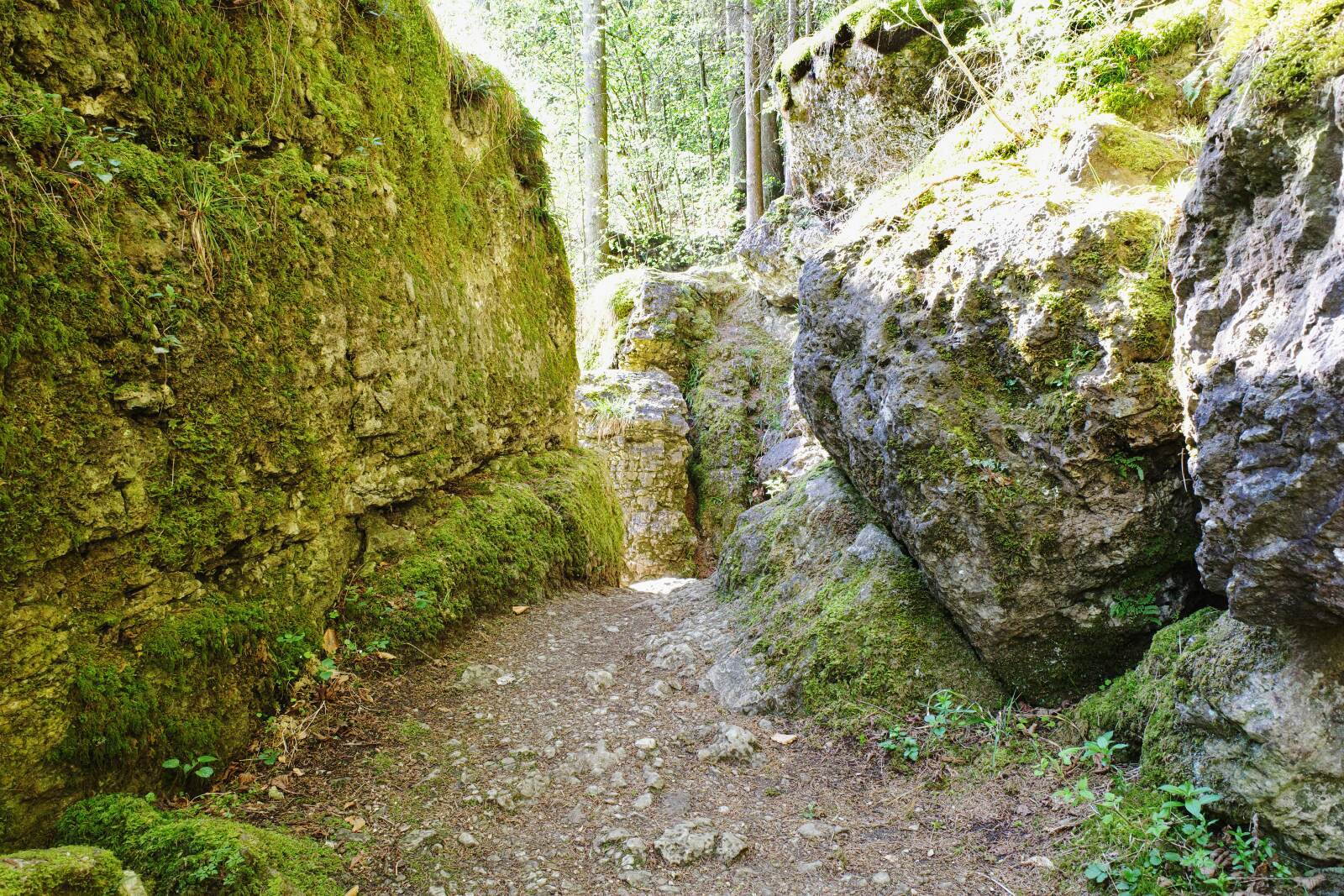 schoengrundsee weg new