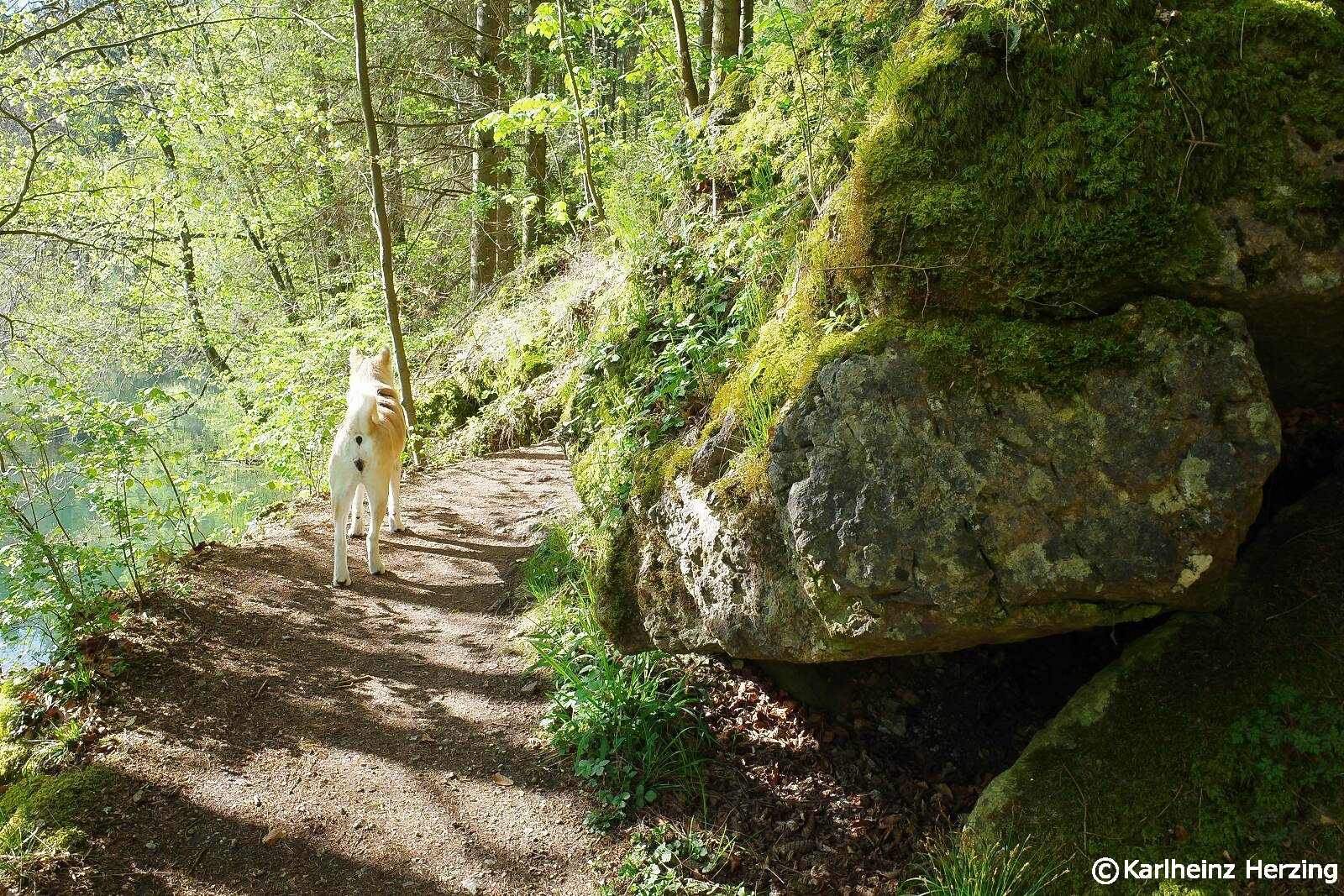 Tal-Weg