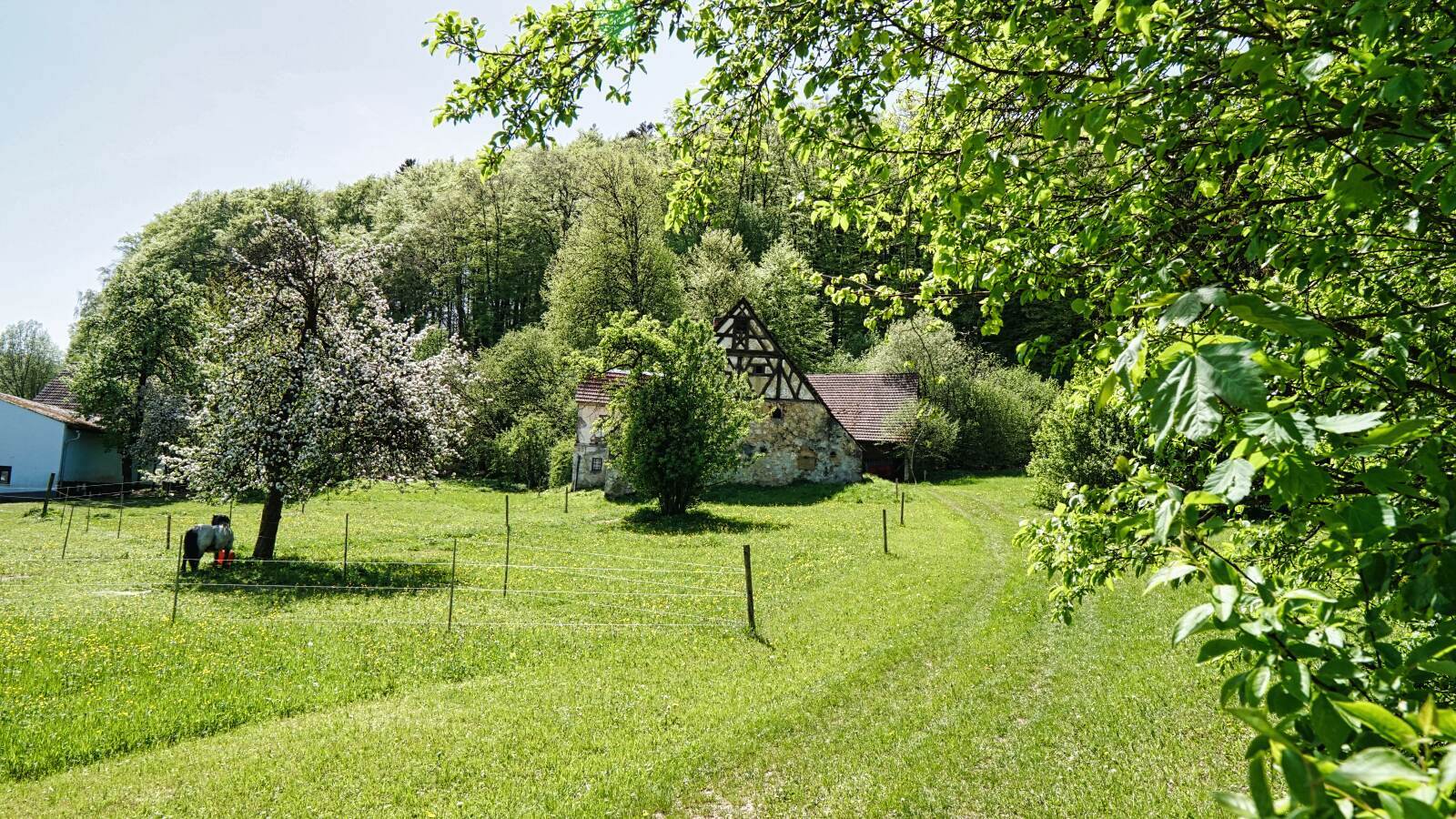 Ezelwang Neukirchen landschaft new