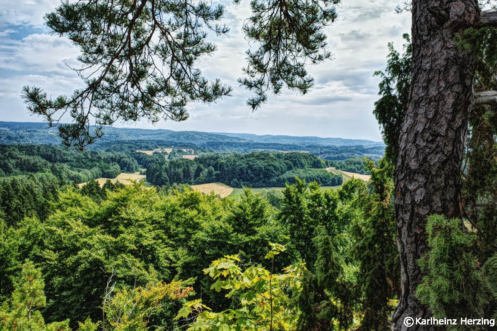 Wanderung zum Burgstall Schlossberg bei Haidhof