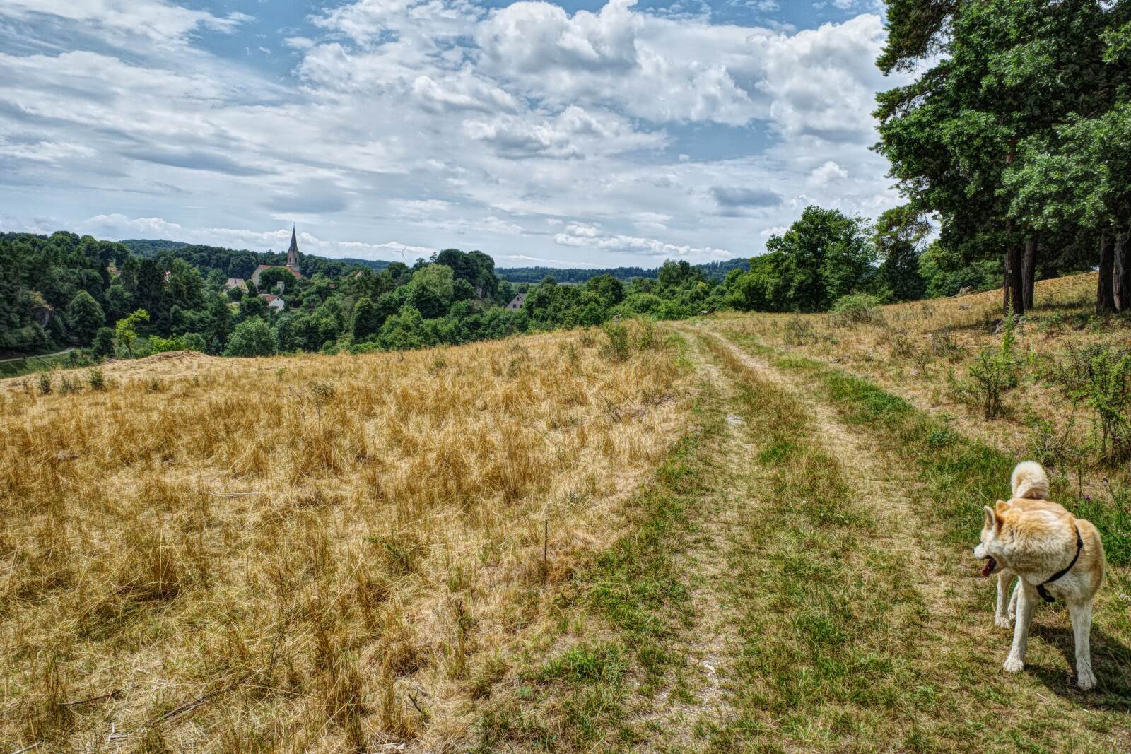 egloffstein burgstall schlossberg thuisbrunn weg new
