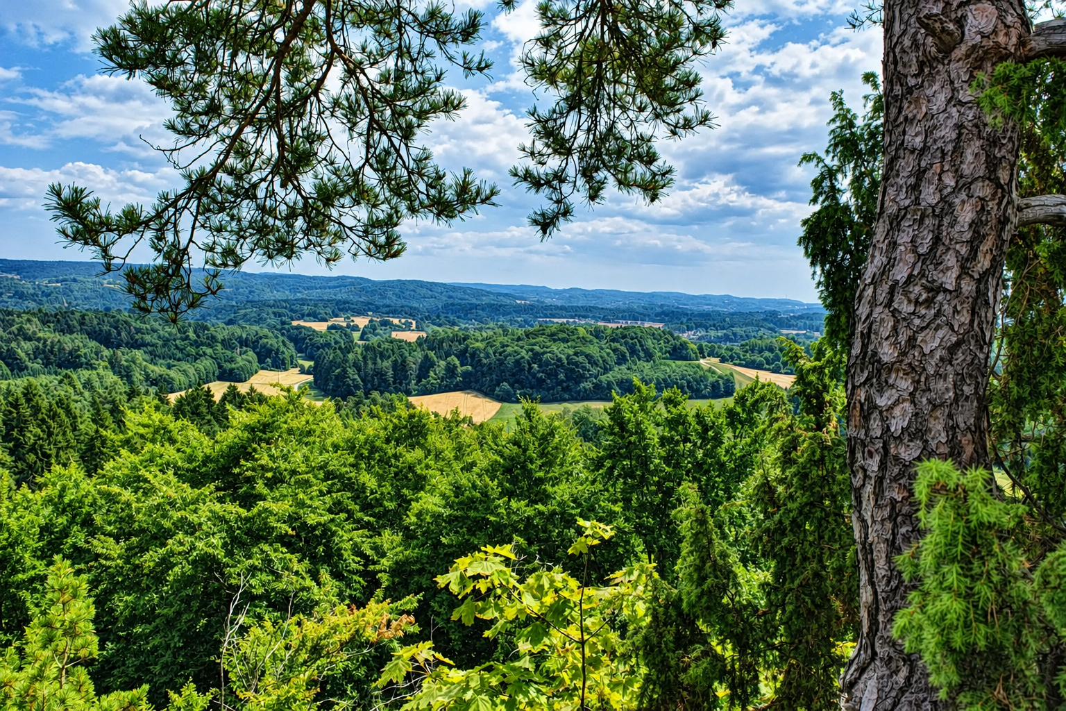 Blick vom Burgstall Schlossberg bei Haidhof