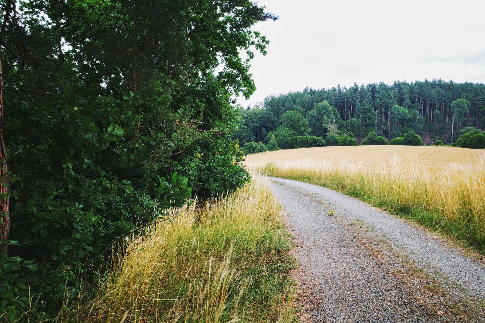tirschenreuth weg new