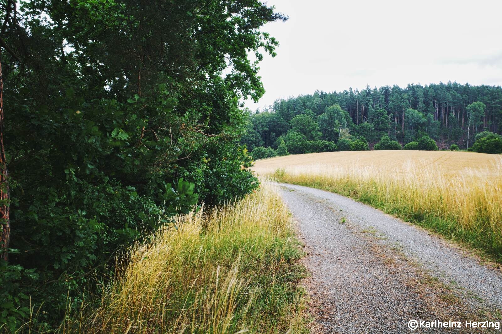 Wanderweg bei Tirschenreuth