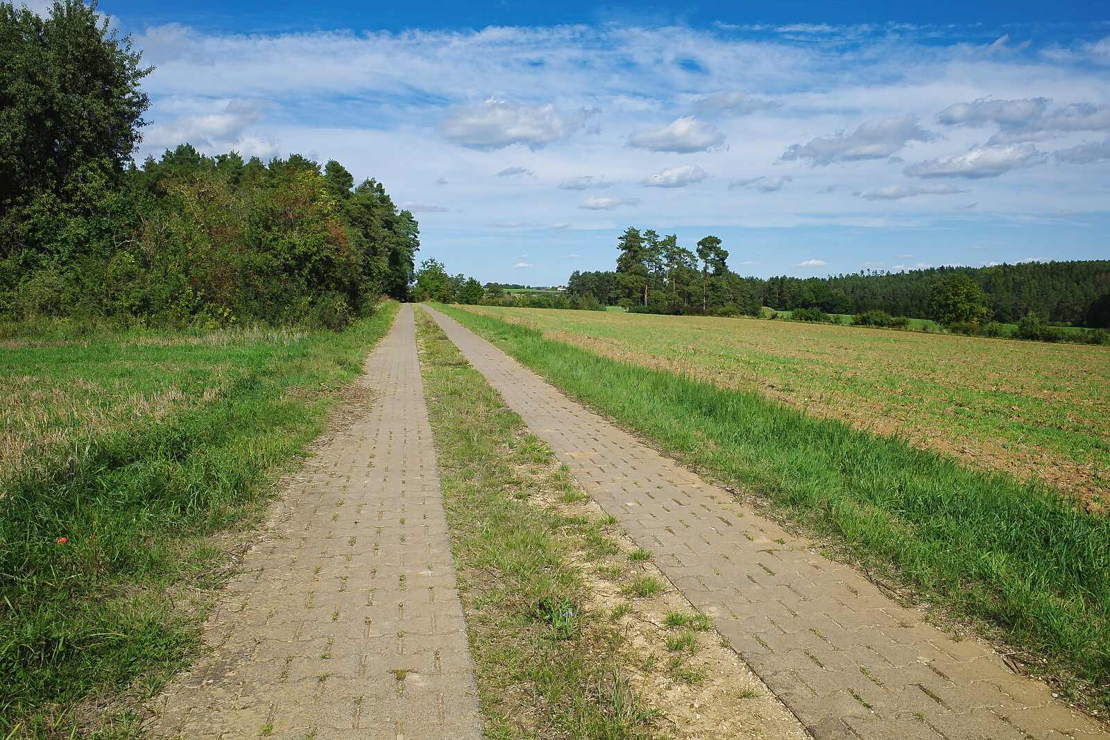 Flurweg nach Breitenlesau