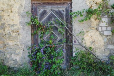 breitenlesau heiligenstadt home