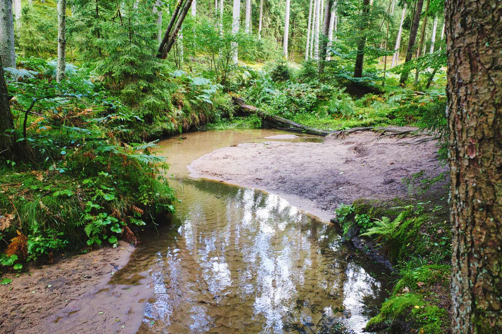 duenenweg bach