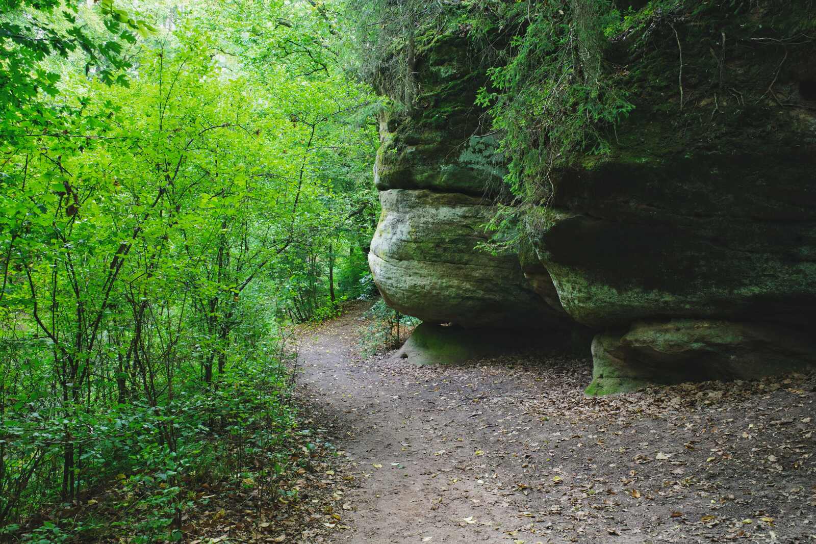 duenenweg weg fels